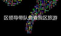 區領導帶隊督查我區旅游精品民宿建設工作