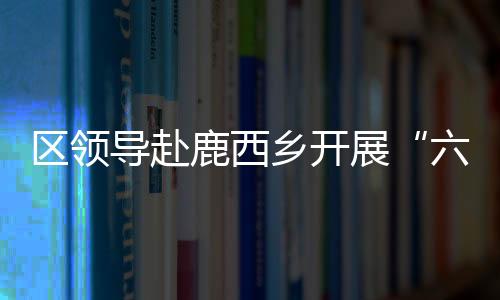 區(qū)領導赴鹿西鄉(xiāng)開展“六一”節(jié)日慰問