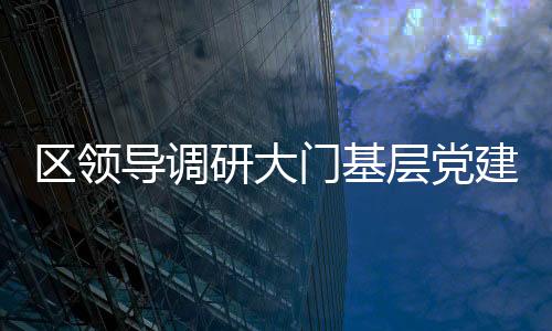 區領導調研大門基層黨建