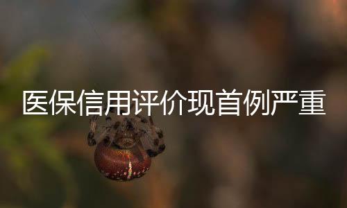 醫(yī)保信用評(píng)價(jià)現(xiàn)首例嚴(yán)重失信，涉案藥品行賄80余萬(wàn)