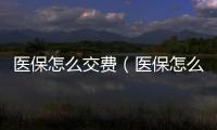 醫保怎么交費（醫保怎么交）
