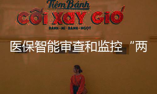 醫保智能審查和監控“兩庫”，開啟“基建狂魔”“狂飆”