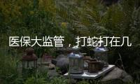 醫保大監管，打蛇打在幾寸上