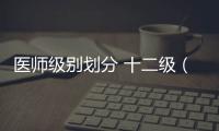 醫師級別劃分 十二級（醫師級別劃分）