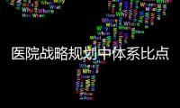 醫院戰略規劃中體系比點子重要
