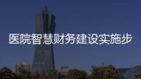 醫(yī)院智慧財(cái)務(wù)建設(shè)實(shí)施步驟淺析