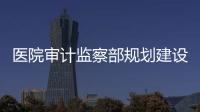 醫院審計監察部規劃建設，一定要重視兩項核心內容！