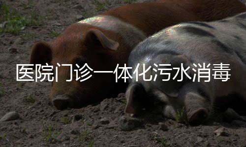 醫(yī)院門診一體化污水消毒設備