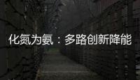 化氮為氨：多路創新降能耗—新聞—科學網