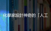化學家設計神奇的「人工葉」，只需陽光、二氧化碳和水，就能製造酒精