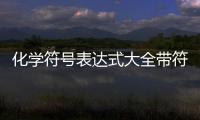 化學(xué)符號(hào)表達(dá)式大全帶符號(hào)（化學(xué)符號(hào)表達(dá)式大全）