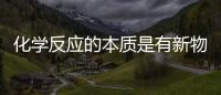 化學反應的本質是有新物質生成（化學反應的本質）