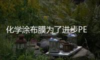 化學(xué)涂布膜為了進(jìn)步PET薄膜的外表功用