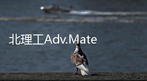 北理工Adv.Mater.：零度下可充電固態電池 – 材料牛