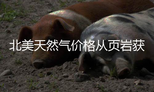 北美天然氣價(jià)格從頁(yè)巖獲益