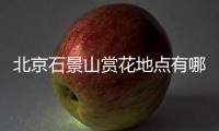北京石景山賞花地點(diǎn)有哪些?賞花品類(lèi)品類(lèi)推薦