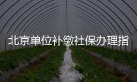 北京單位補繳社保辦理指南(網上申報+報盤)