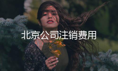 北京公司注銷費用
