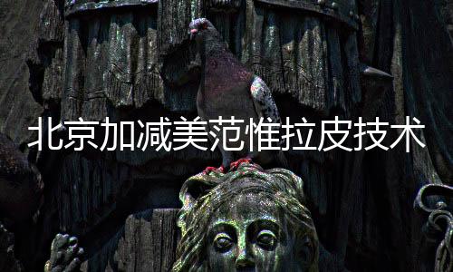 北京加減美范惟拉皮技術精細，價格親民，超越黃寅守、穆寶安的性價比
