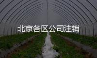北京各區公司注銷