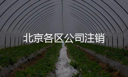 北京各區公司注銷