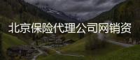 北京保險代理公司網銷資質一手轉讓