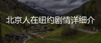 北京人在紐約劇情詳細介紹