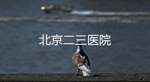 北京二三醫(yī)院