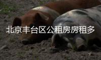 北京豐臺區(qū)公租房房租多少錢一個月?