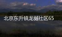 北京東升鎮龍樾社區65歲以上老年人抗原試劑免費領取