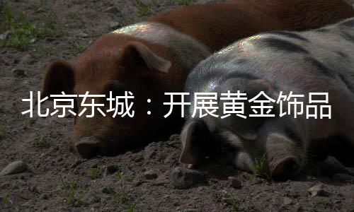 北京東城：開(kāi)展黃金飾品計(jì)量專項(xiàng)檢查