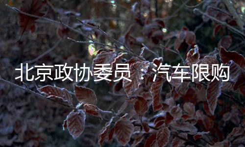 北京政協委員：汽車限購令治標 經濟杠桿治本