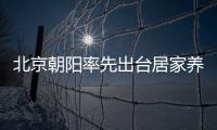 北京朝陽率先出臺居家養老改造標準