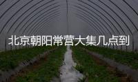北京朝陽常營大集幾點到幾點什么時候開?
