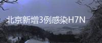北京新增3例感染H7N9禽流感病例