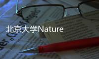 北京大學Nature Synthesis，有序相亞納米材料，超高催化性能！ – 材料牛