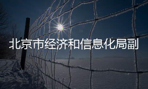 北京市經濟和信息化局副局長一行走訪中科馭數調研