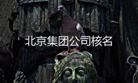 北京集團(tuán)公司核名
