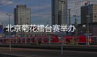 北京菊花擂臺賽舉辦 “菊王”誕生