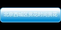 北京西城區(qū)賞花時間賞花品種及地址