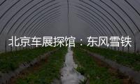 北京車(chē)展探館：東風(fēng)雪鐵龍?jiān)埔軸UV