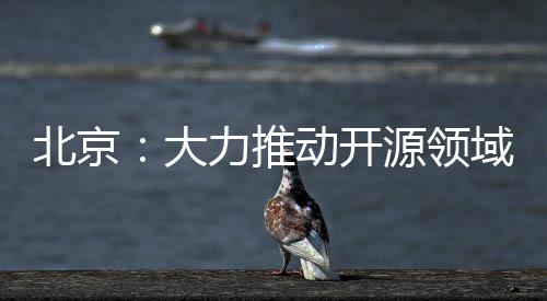 北京：大力推動(dòng)開(kāi)源領(lǐng)域發(fā)展，打造開(kāi)發(fā)者、資金、技術(shù)等要素的引力場(chǎng)