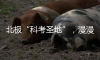 北極“科考圣地”，漫漫極夜里的中國“守夜人”