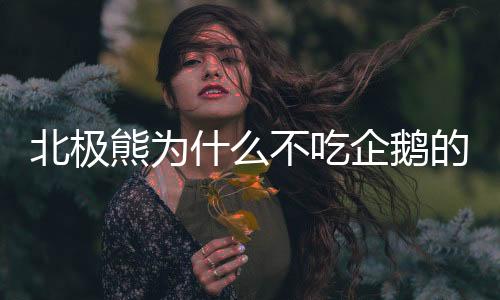 北極熊為什么不吃企鵝的短視頻（北極熊為什么不吃企鵝）