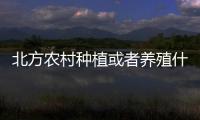 北方農村種植或者養殖什么比較賺錢？ 北方養殖業什么最賺錢農村