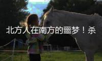 北方人在南方的噩夢(mèng)！殺死一只蟑螂，安全有效的辦法卻不是拖鞋？