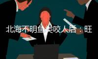 北海不明魚類咬人后：旺季游客降8成，目前捕撈工作仍像大海撈針