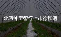 北汽紳寶智行上市徐和誼公布2的3次方戰略