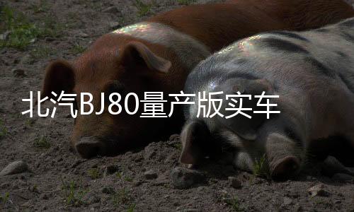 北汽BJ80量產版實車曝光 定位硬派越野車