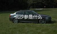 北沙參是什么